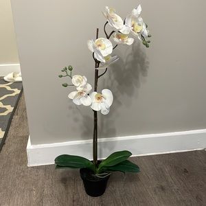 ❤️3/$30 IKEA artificial orchid